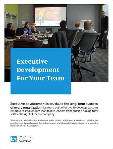 Executive Development for your Team - PDF